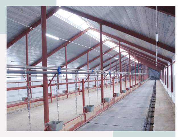 Строительство коровников в Ухте от 608 руб.