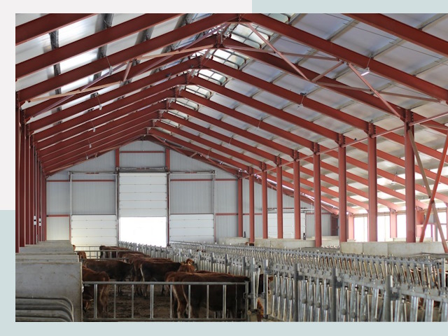 Строительство коровников в Ухте