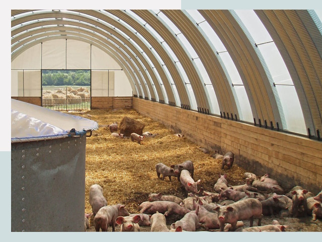 Строительство свинарников в Ухте