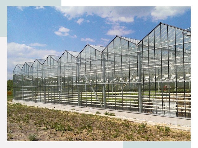Строительство теплиц в Ухта от 608 руб. за м²
